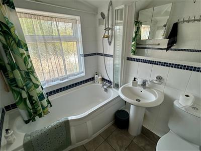 Picture 11